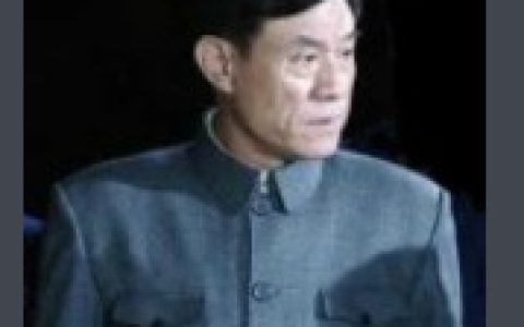 正義的重量 - 2013年高偉寧執(zhí)導(dǎo)的電視劇