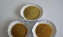 蜂花粉 - 花粉團(tuán)加工而成的濃縮物