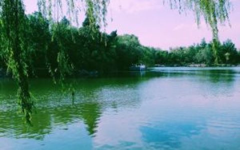 未名湖 - 北京大學(xué)內(nèi)的人工湖