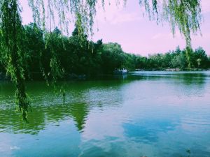 未名湖 - 北京大學(xué)內(nèi)的人工湖