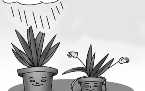 教育公平 - 國(guó)家對(duì)教育資源進(jìn)行配置時(shí)所依據(jù)原則